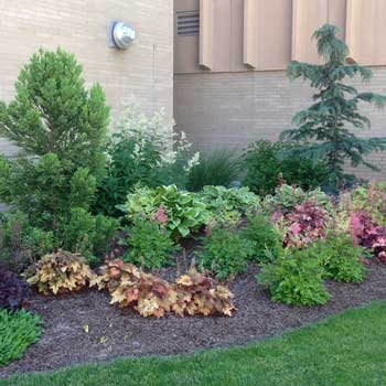 Picture of Courtyard Landscaping
